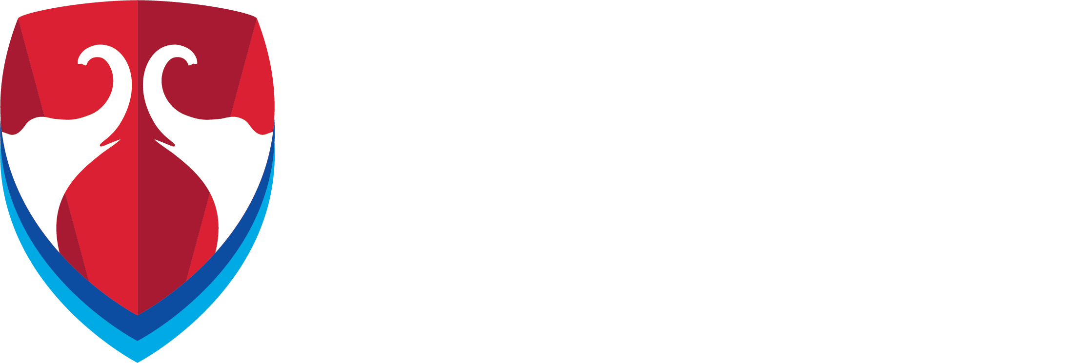 Bennett University